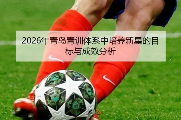 nian-qing-dao-qing-xun-ti-xi-zhong-pei-yang-xin-xing-de-mu-biao-yu-cheng-xiao-fen-xi-2-354.jpg